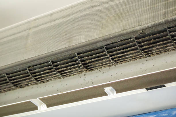 Air Duct Mold Removal in NC